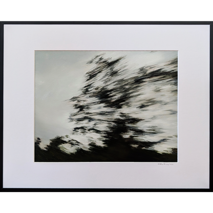 Trees in motion#1