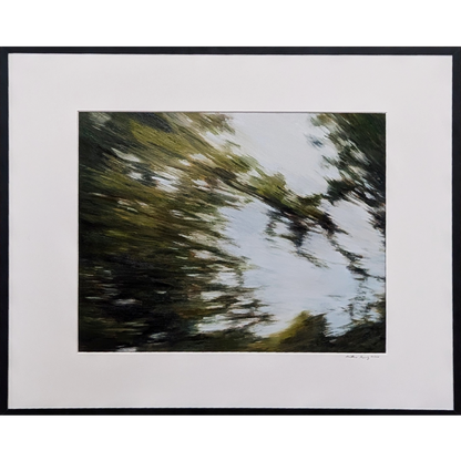 Trees in motion #3