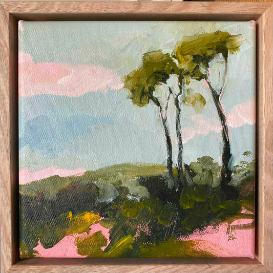 Back Paddock Ramble VI