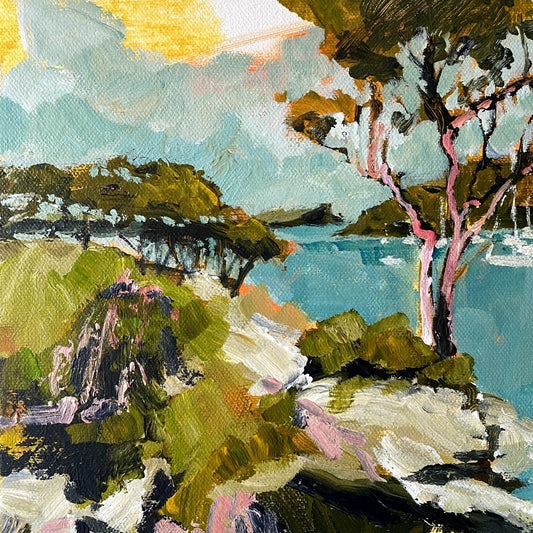 Balmoral Bay Study