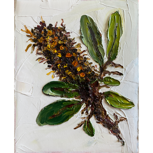 Banksia #1