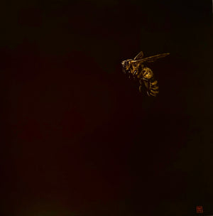 Bee Dude Never leaves home without his sunnies