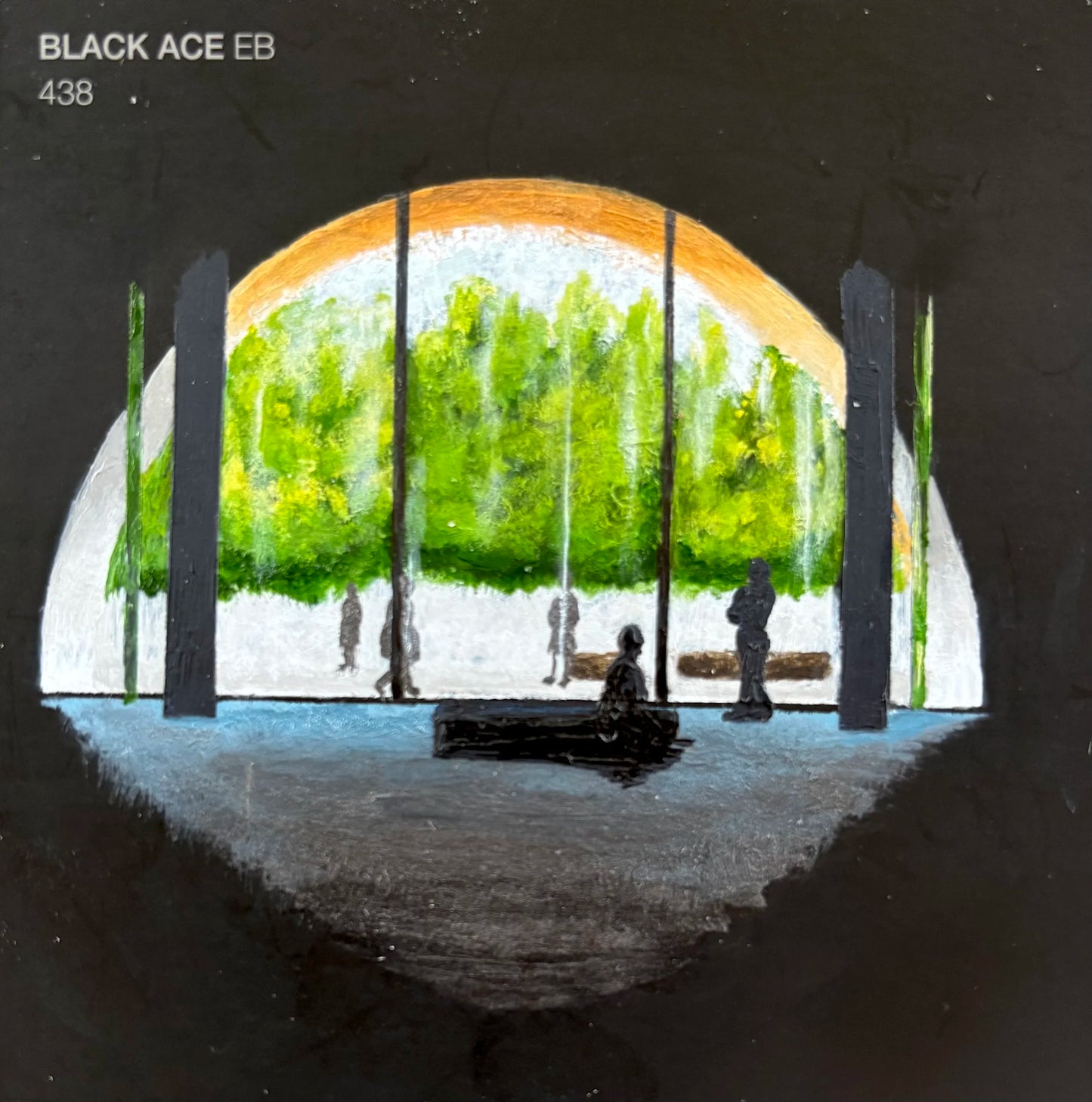 Black Ace View