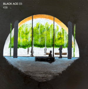 Black Ace View
