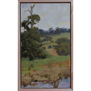 Brinsmead Valley Sketch