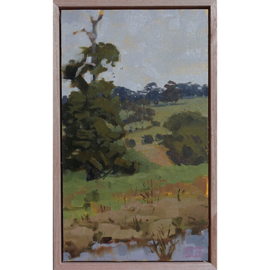 Brinsmead Valley Sketch