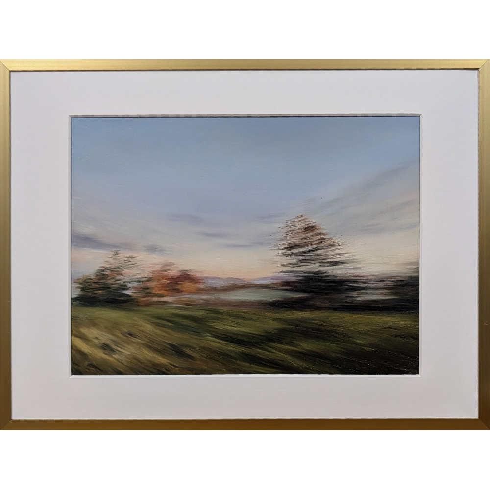 Evening Field