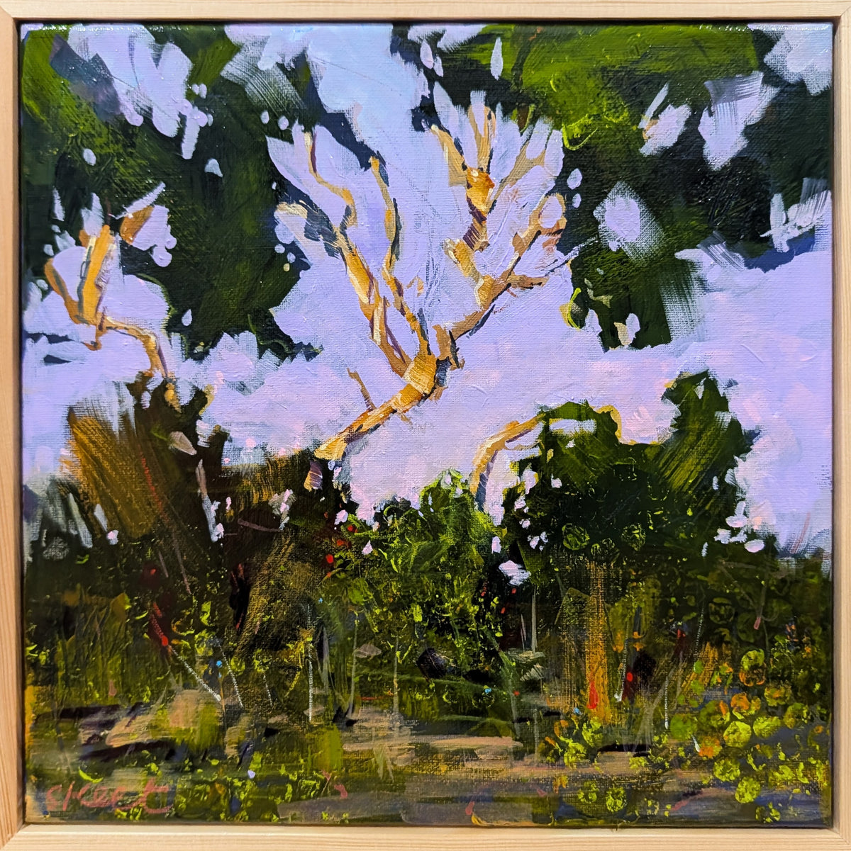 The Garden at Night