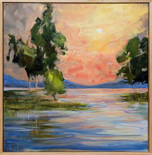 Wetlands in Full Colour