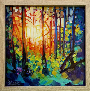 Sunset Mosaic In Boranup Forrest