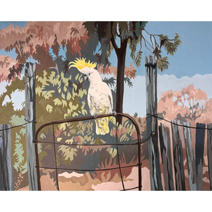 Cocky’s Gate