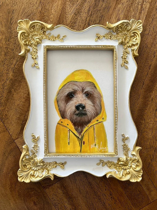 Dapper Dogs - Little Man