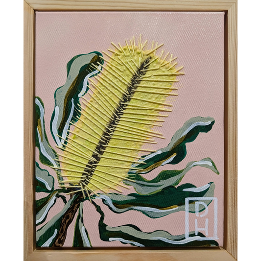 Candle Banksia