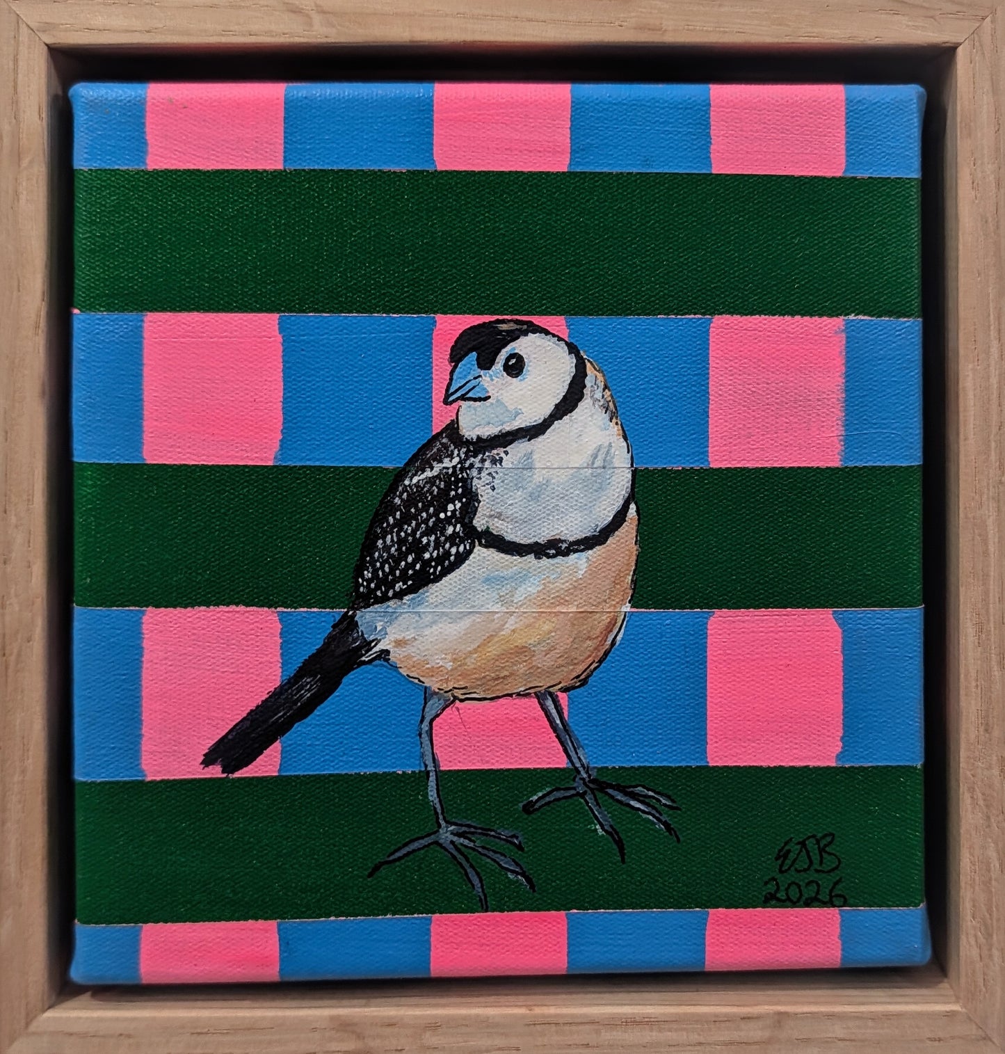 Double Bar Finch