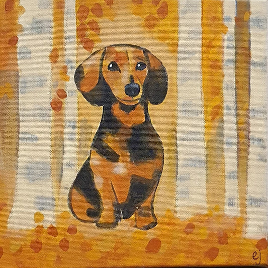 Autumn Dachshund