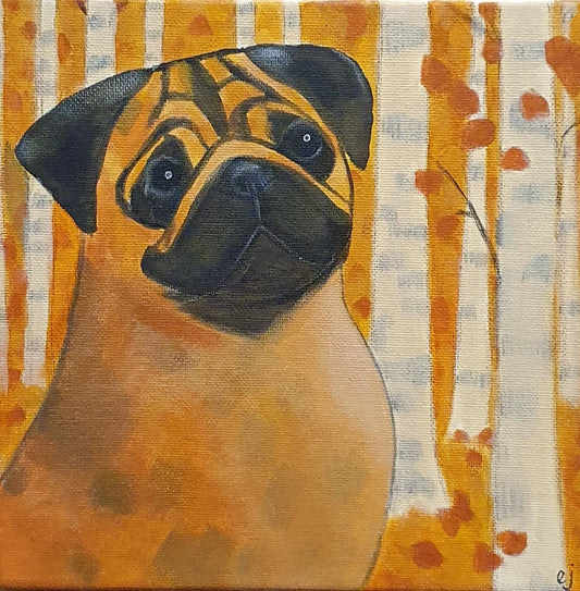 Autumn Pug