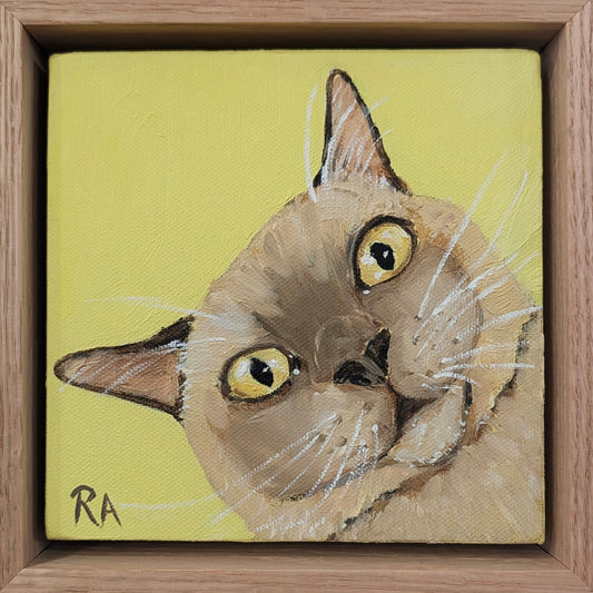 Faces of a Burmese #3
