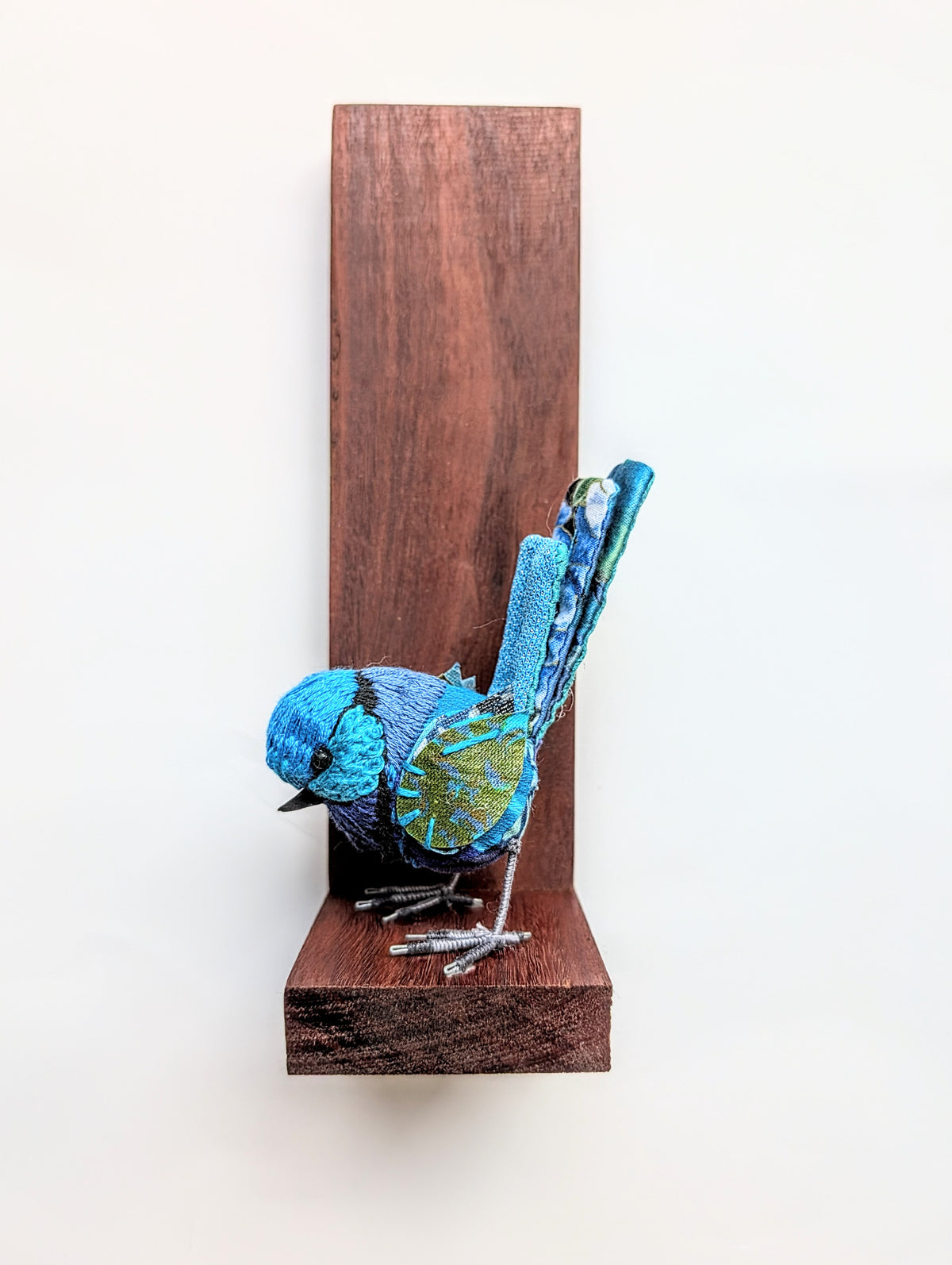 Fairy Wren 1