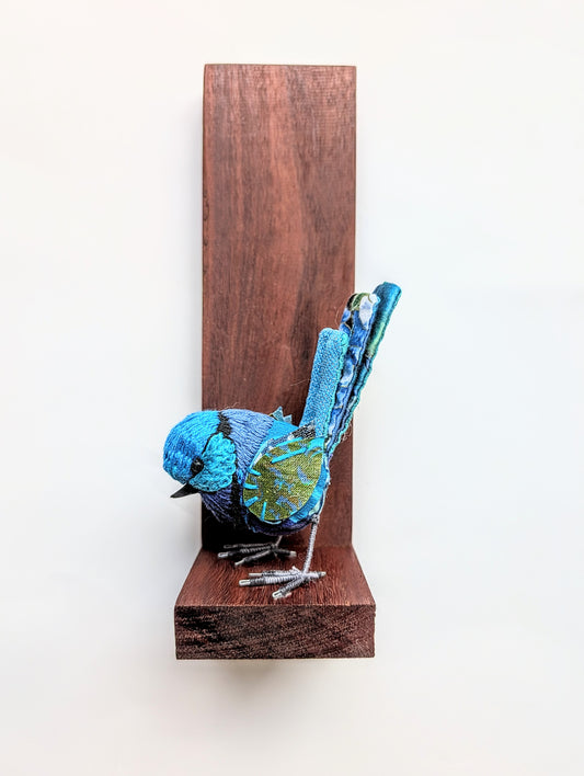 Fairy Wren 1