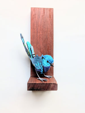 Fairy Wren 2