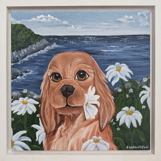 Sweet Daisy