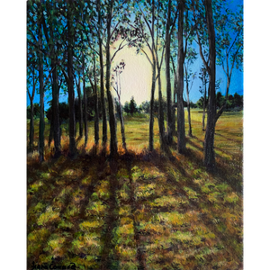 Afternoon Shadows