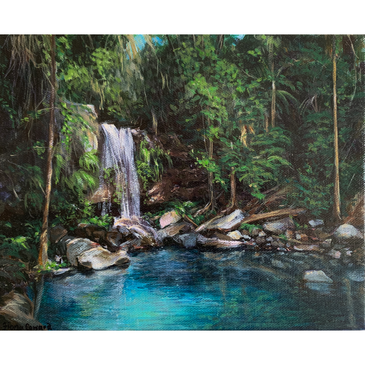 Curtis Falls