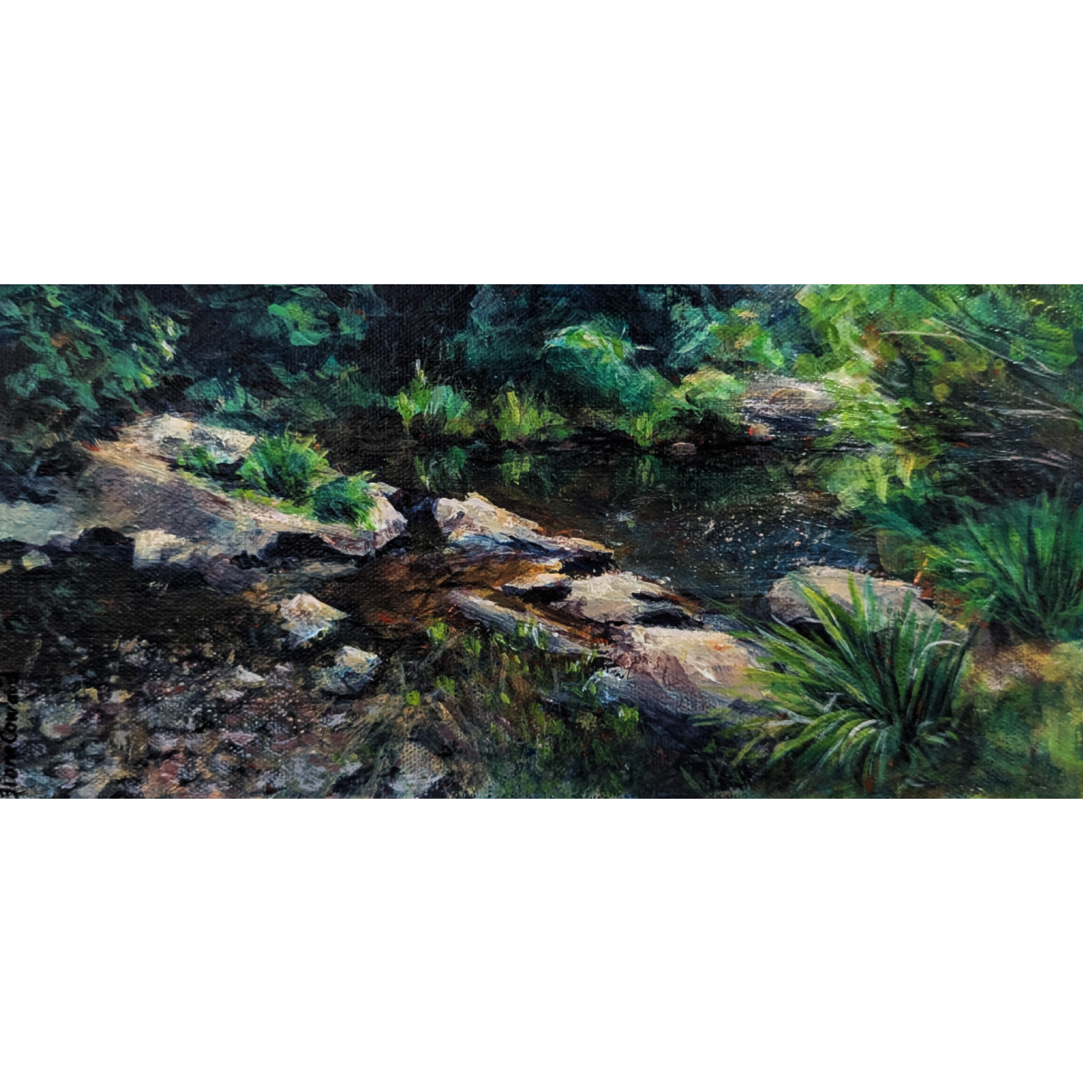 Tranquil Waters
