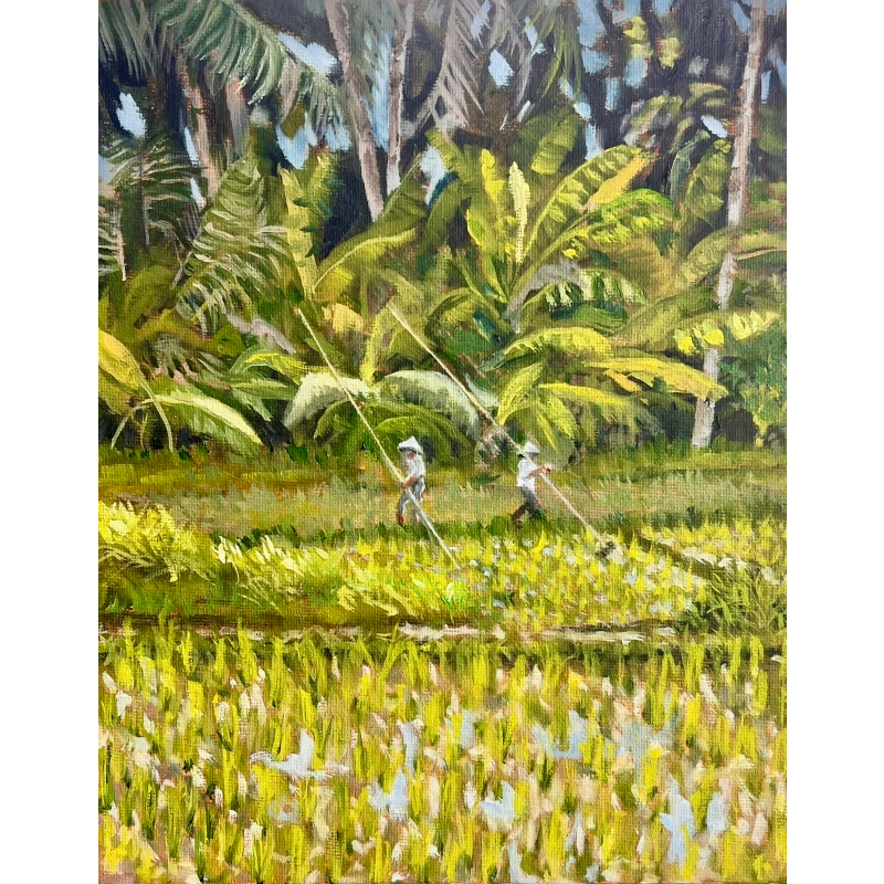 Rice fields of Bali