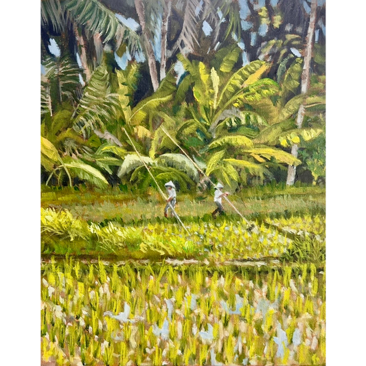 Rice fields of Bali