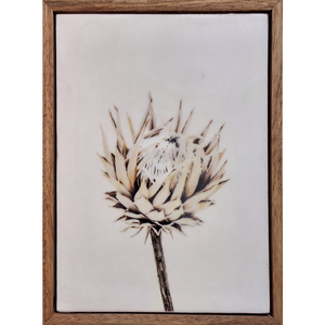 Gardens and Gifts Protea