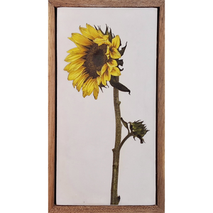 Gardens and Gifts Sunflower 2