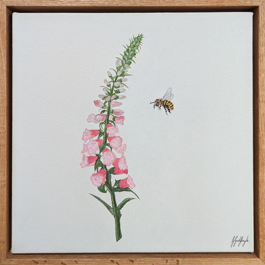 The foxgloves friend