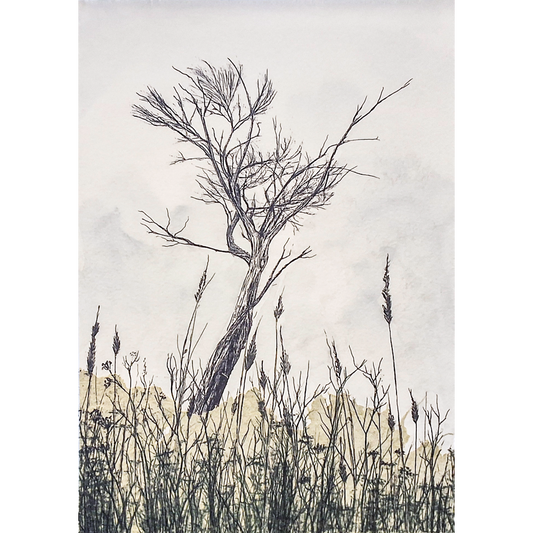 Getting Lost Amongst The Meadows