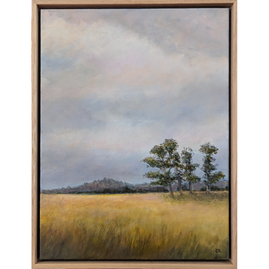 Golden Pastures, Coghills Creek