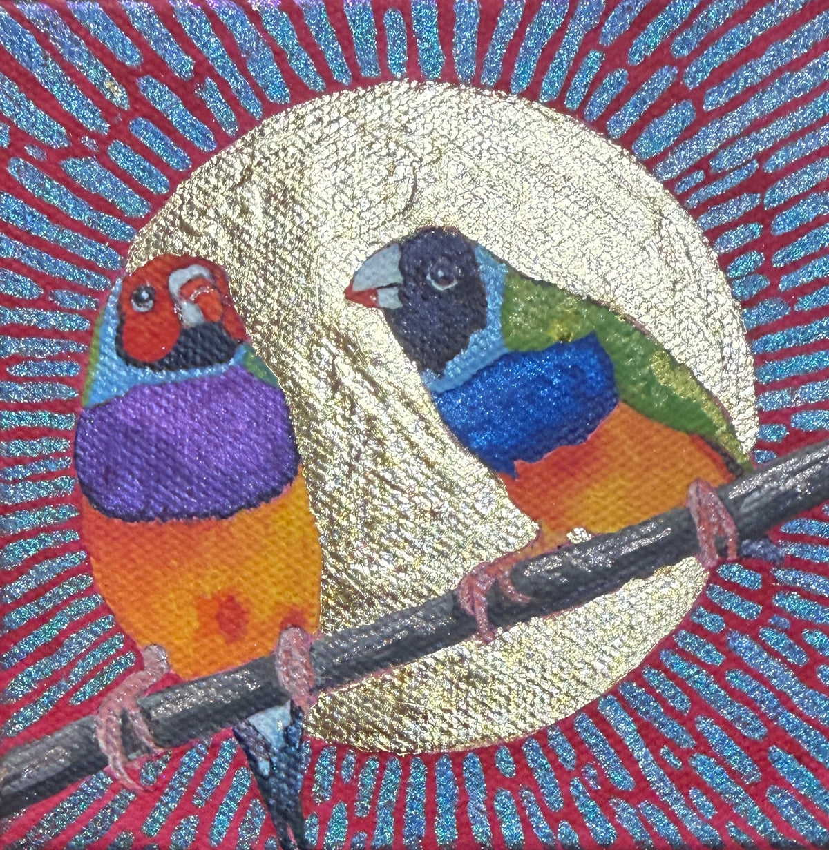 Gouldian lovers in a golden sun