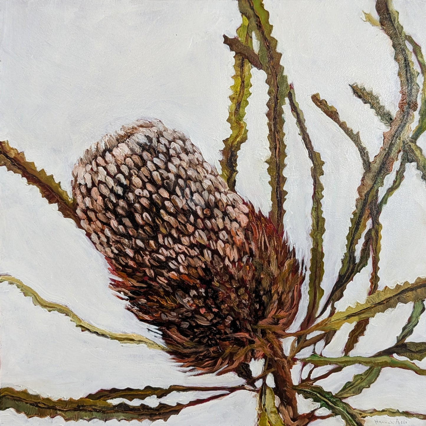Banksia