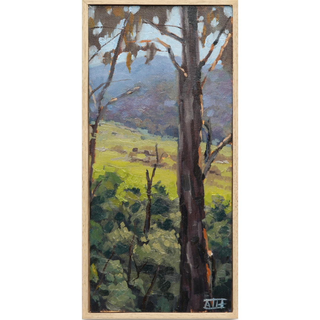 Peeking Through (Kiewa Valley)