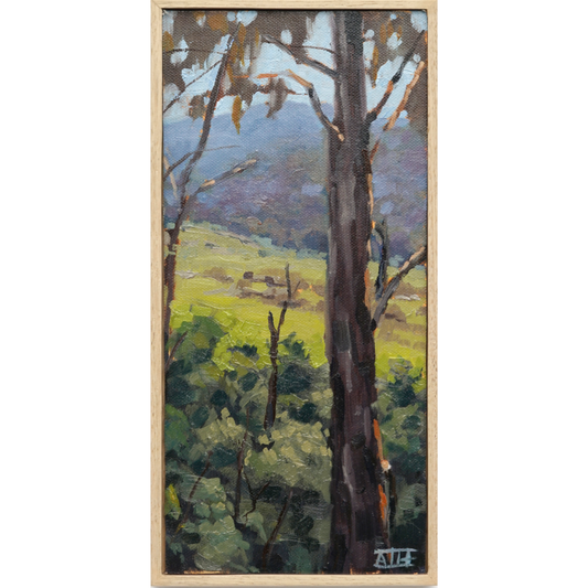 Peeking Through (Kiewa Valley)