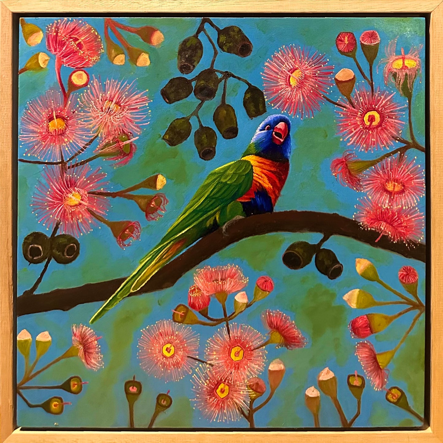 Portrait of a Lorikeet