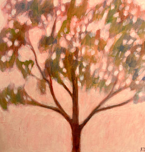 Linger in the Light