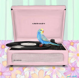 Budgie on Pink Record Player
