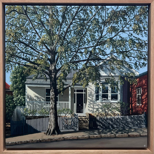 Dappled Light, West Hobart