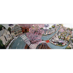 Cherry Blossoms on Latrobe Tce