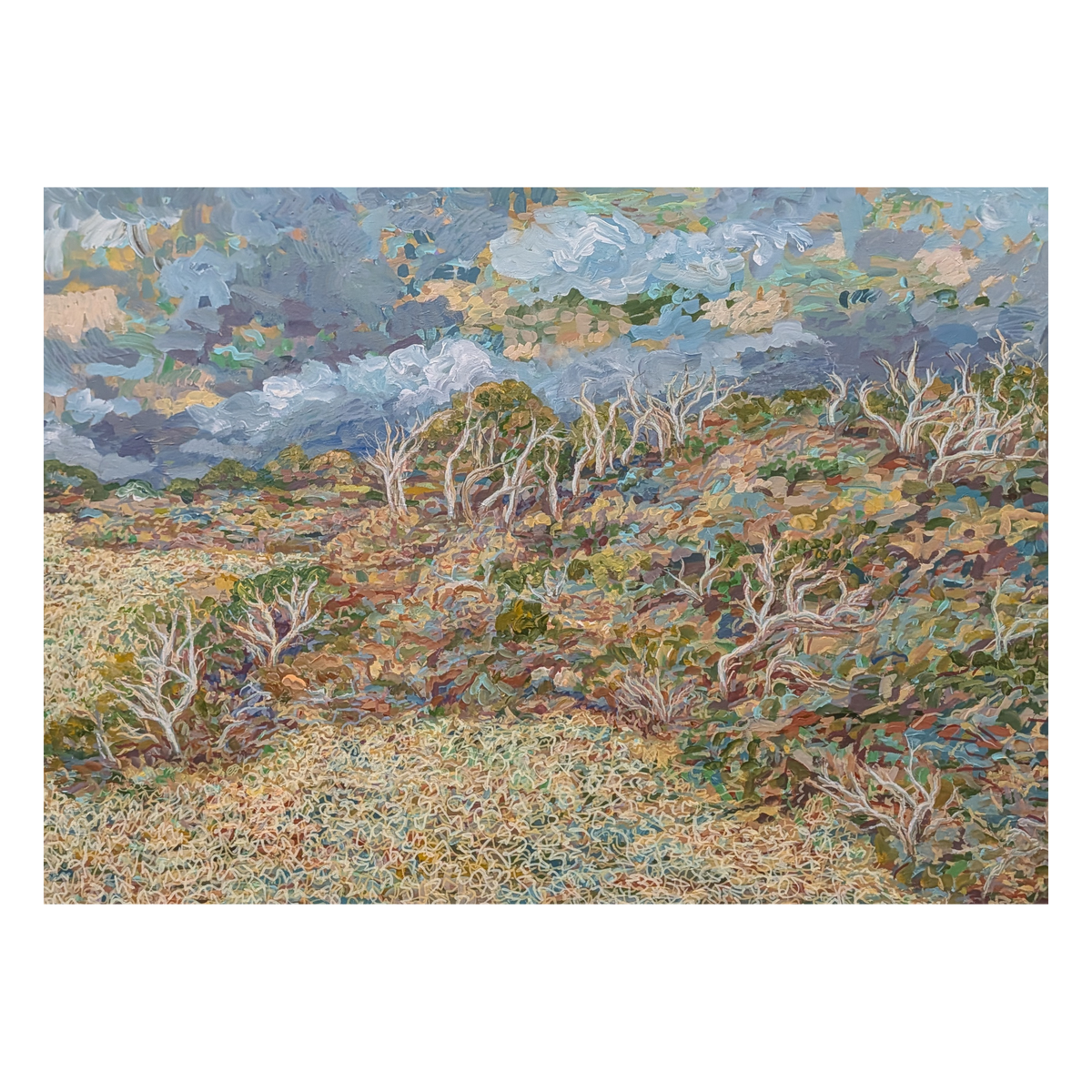 A Quiet Wild