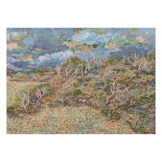 A Quiet Wild
