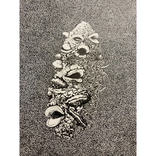 Banksia Marginata Cone