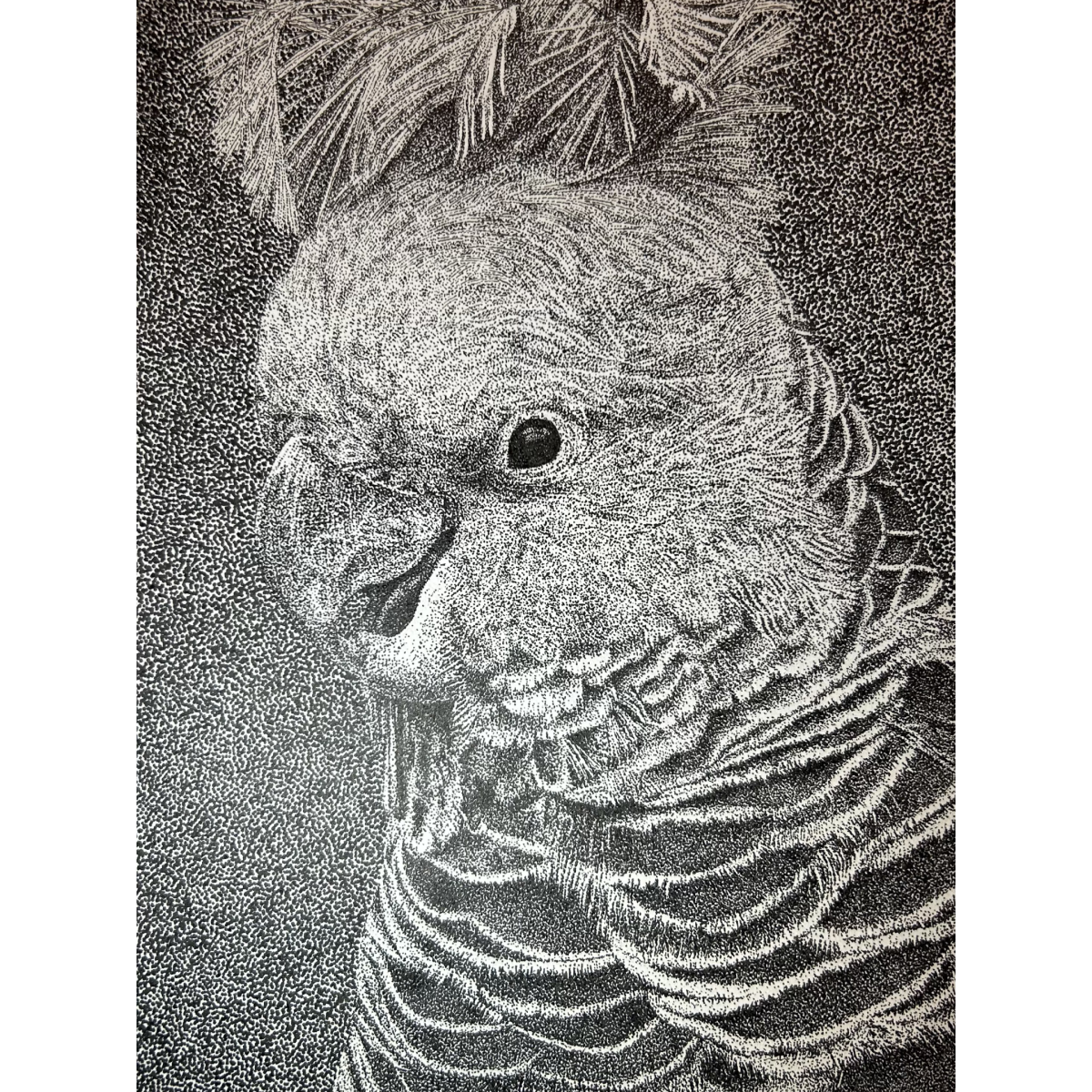 Where Fog Meets Fire