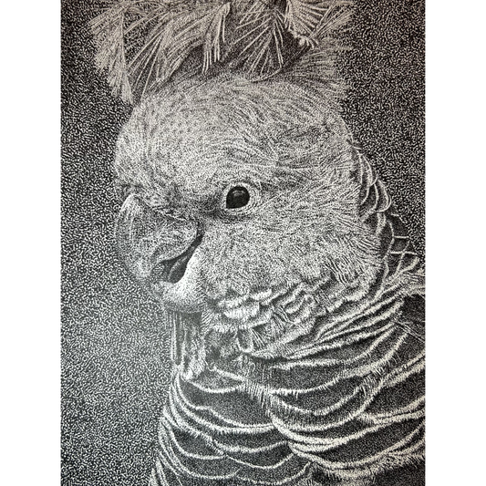 Where Fog Meets Fire