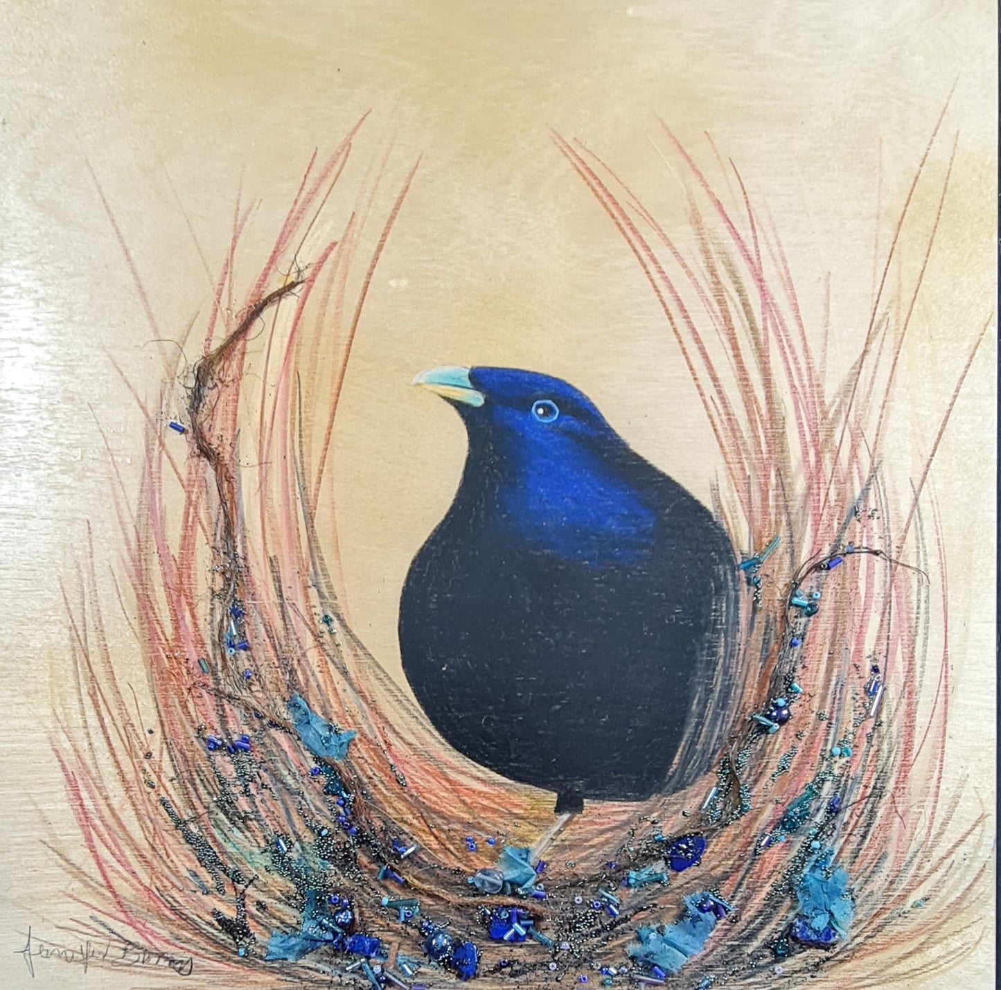 Bower Bird